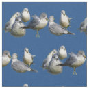 Search for seagull fabric Gulls