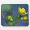 Search for adams electronics Flower