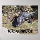 Recherche de alligators posters Pour tous