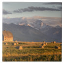 Recherche de foin carreaux Paysage