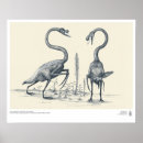 Recherche de paléontologue posters Fossile