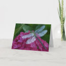 Search for love dragonflies postcards Pretty