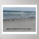 Search for small creature posters Wildlife