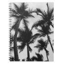 Recherche de cocotier Paysage