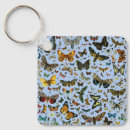 Search for butterfly keychains Drawing