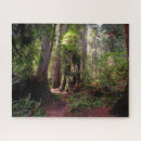 Search for redwood puzzles National park