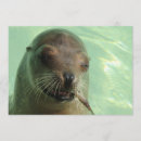 Search for sea lion invitations Ocean