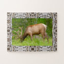 Search for deer hunting puzzles Elk