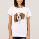 Search for blenheim tshirts Spaniel