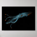 Recherche de bioluminescent art Bioluminescence