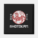 Recherche de ceinture magnets Kung fu