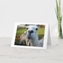 Recherche de llama birthday cards Humour