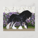 Recherche de vanner gitan cartes postales Cheval