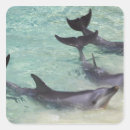 Search for not amused stickers Face