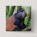 Search for unique square buttons Wildlife