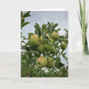 Search for apple orchard cards Fruit