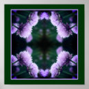 Recherche de oignon posters Nature
