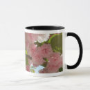 Search for cherry blossom tree mugs Flower