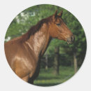 Recherche de thoroughbred stickers Fleurs