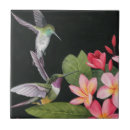Recherche de de colibris carreaux Oiseaux