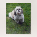 Search for shih tzu dog puzzles Cute
