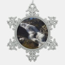 Search for sequoia national park ornaments Nature
