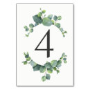 Search for eucalyptus table cards Leaves