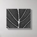 Search for black white leaf canvas prints Photography