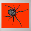 Search for spider bite Venom