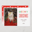 Search for orange cat christmas cards Kitten