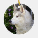 Search for alaskan husky ornaments Animal