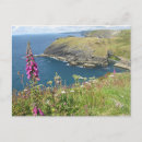 Search for tintagel postcards Castle