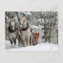 Search for winter greetings postcards Forest