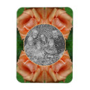 Search for rose bloom magnets Flower