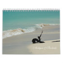 Recherche de rose calendriers Plage