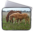 Search for horse laptop cases Foal