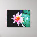 Recherche de lièvre art Nénuphar