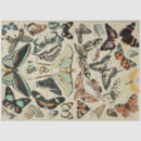 Search for butterfly tissue paper Vintage