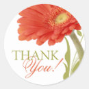 Search for orange gerbera daisy stickers Thank you