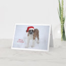 Search for st bernard christmas cards Santa