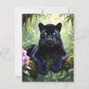 Search for black jaguar postcards Jungle