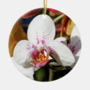 Search for orchid ornaments nature