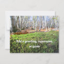 Search for fallen tree postcards Autumn