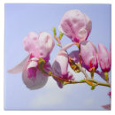 Recherche de fleur de magnolia carreaux Fleurs