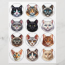Search for cat breed Tabby