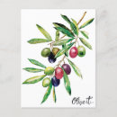 Recherche de aquarelle grèce cartes postales Méditerranéenne