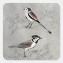 Search for aviary stickers Birds