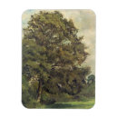 Search for constable magnets Study