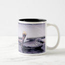 Search for gliding mugs Nature