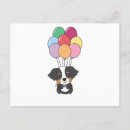 Search for bernese cards Colourful